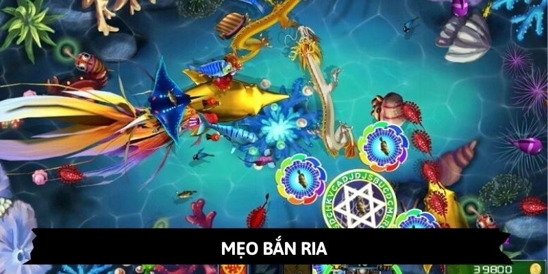 Mẹo bắn cá trúng lớn bằng kỹ thuật xả đạn ria vào con mồi