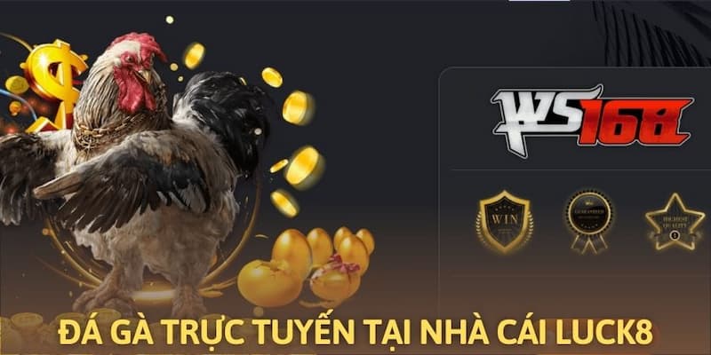 Ảnh minh họa: Đôi nét về địa điểm đá gà trực tuyến tại Luck8
