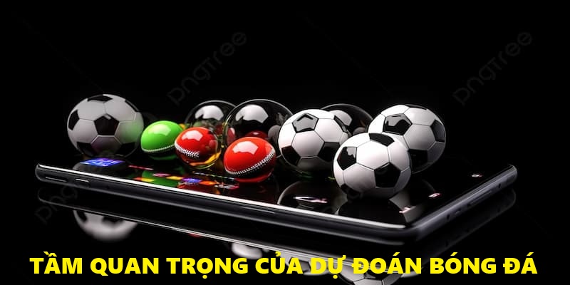 Tại sao cần dự đoán bóng đá?