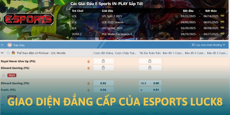 Ảnh minh họa giao diện hiện đại của sảnh Esports Luck8