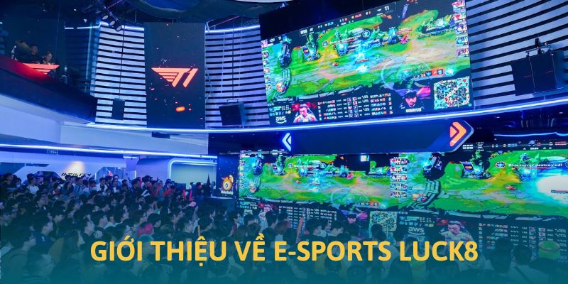 Ảnh minh họa giới thiệu về E-Sport Luck8