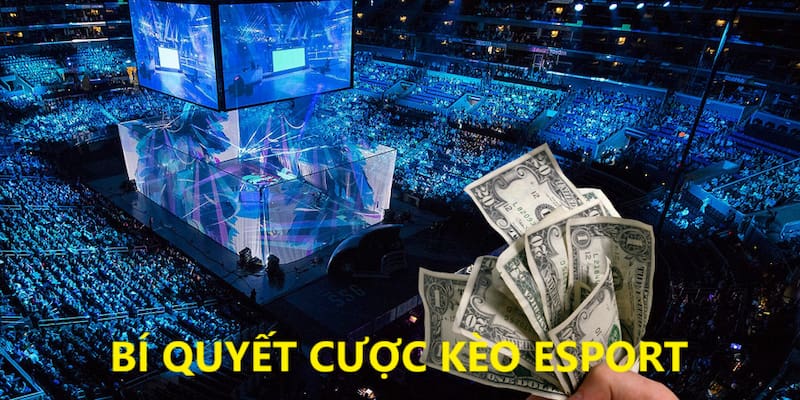 Chiến lược chinh phục các loại kèo eSport LUCK8