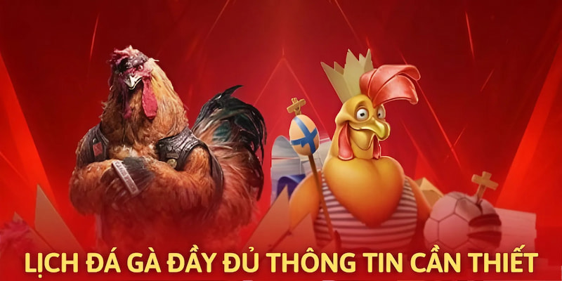 Ảnh minh họa: Lịch thi đấu chọi kê đa dạng các thông tin hữu ích