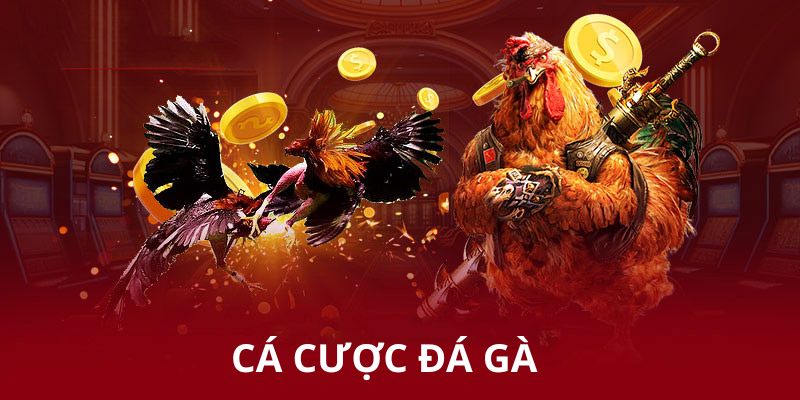 Top Mẹo Cá Cược Đá Gà Thắng Lớn Tại LUCK8 - Chơi Là Thắng