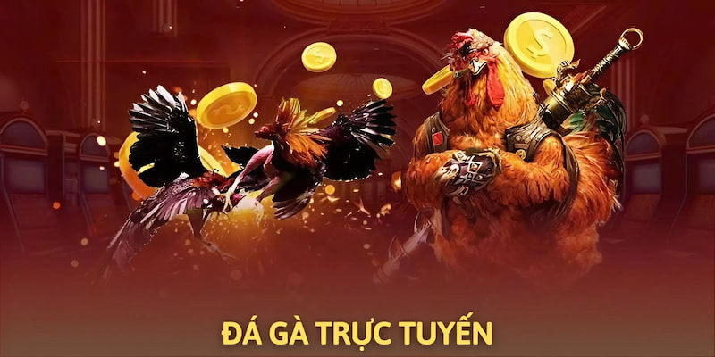 Đá gà trực tuyến LUCK8 có gì HOT?