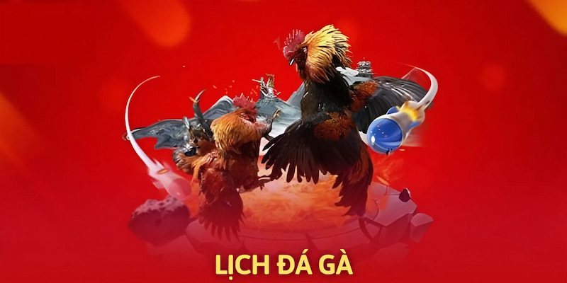 Cập Nhật Lịch Đá Gà Hot Nhất 2025 Tại Luck8