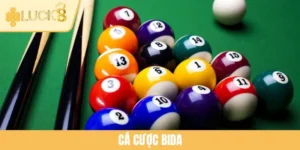 Cá Cược Bida - Bí Quyết Tham Gia Luôn Thắng Lớn Tại LUCK8