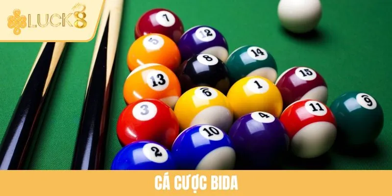 Cá Cược Bida - Bí Quyết Tham Gia Luôn Thắng Lớn Tại LUCK8
