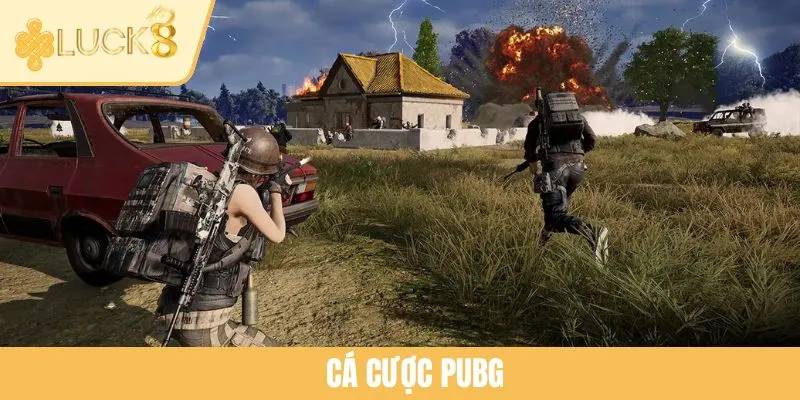 Cá Cược PUBG - Cơ Hội Chinh Phục Phần Thưởng Lớn Tại LUCK8