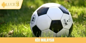 Kèo Malaysia Là Gì? Khám Phá Bản Chất Của Loại Cược Này