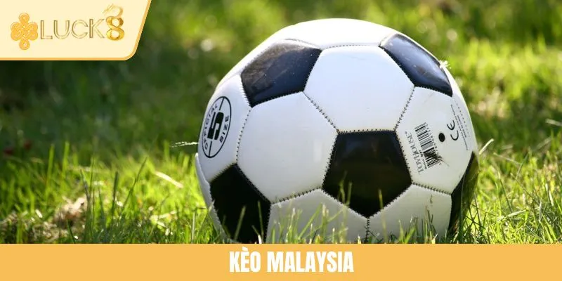 Kèo Malaysia Là Gì? Khám Phá Bản Chất Của Loại Cược Này